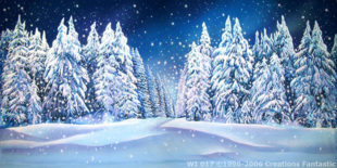 Winter Wonderland Backdrops Archives | Backdrops Fantastic Australia