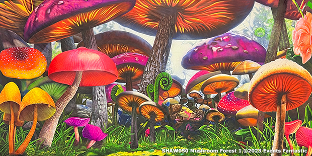 Mushroom Forest Colourful Backdrop